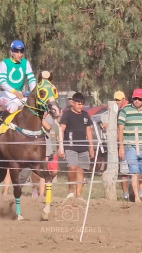 @fotografia_andrescaceres | CANTINERO - Stud Estancia Santa María, Cruz de Eje (Córdoba). 📸 Gentileza @bauty_turf | Instagram