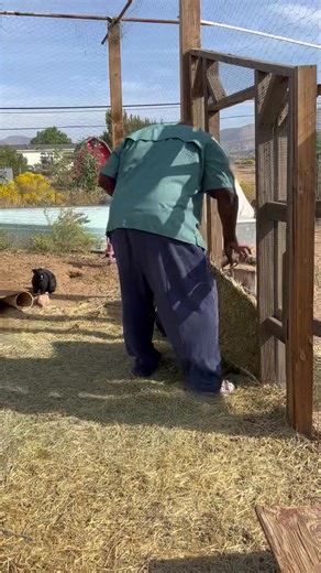 Rabbit time | Ivy Calvin Storage Wars