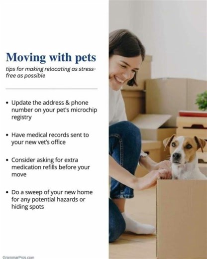 Pet Tips for a Smooth Move