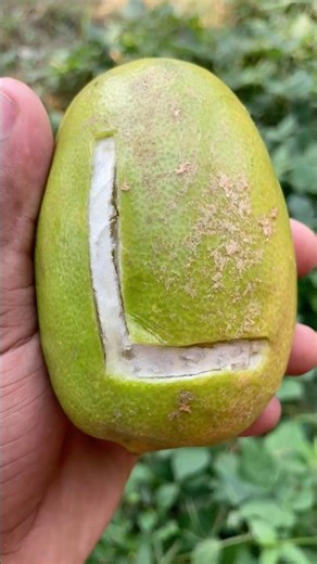 Pomelo Carving Design: Stunning Letter "L"Tutorial #fruit #foodart #pomelo