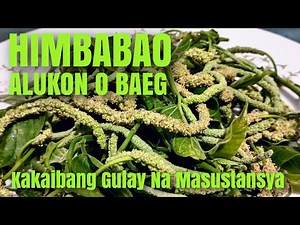 HIMBABAO ALUKON O BAEG Kakaibang Gulay Na Masustansya