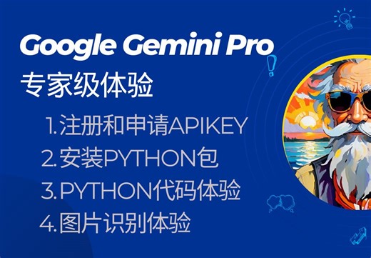 Google Gemini Pro API专家级体验