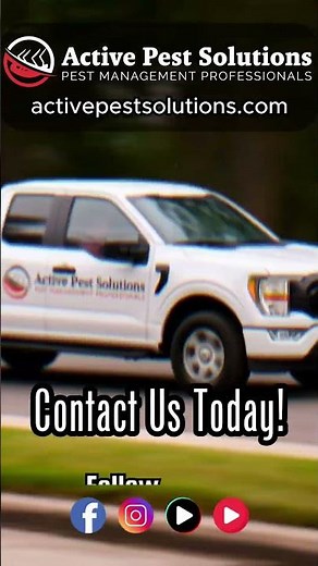 🔍 Spot a Pest? Let's Take Care of It Together