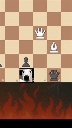 Why Would White Fork Himself?! 🤯 (Genius Tactic)