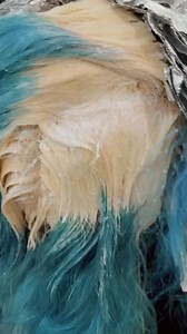 Mermaid makeover pt 1 | Jacqui Swan