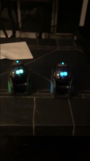 Experimenting with Vector Robot commands | Vectorrobot.ddl on TikTok | 2-16-2024