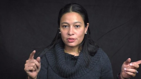 Where Did the Cannabis Plant Come From?