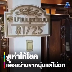 22K views · 249 reactions | งูเห่าเลื้อยผ่านขาหนุ่มแต่ไม่ฉก...