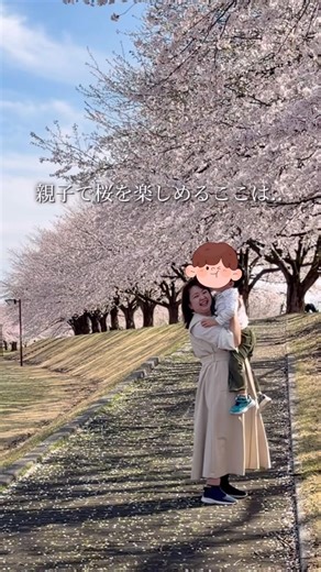 【長岡市】広くて遊べる🛝桜が魅力の公園🌸