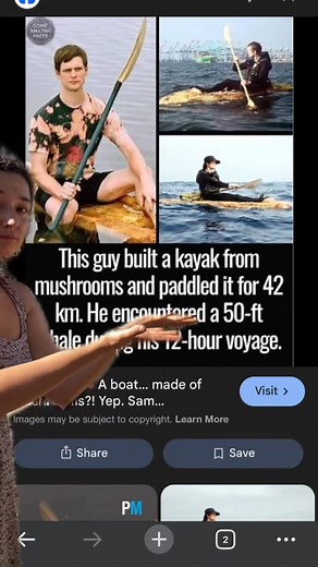 2.1K views · 11 reactions | How cool is this? Location Catalina island This process uses the mycelium's natural ability to bind materials together into a solid, strong, and biodegradable structure that can be assembled like traditional bricks without mortar. | Isopuppy | Facebook