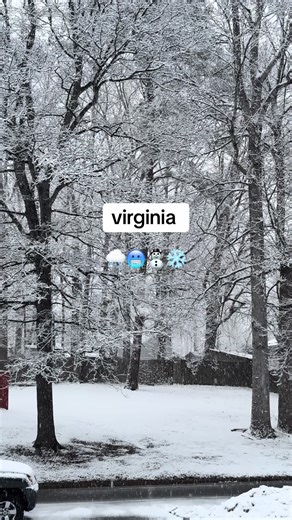 Captivating Snow Scenes in Virginia This Winter