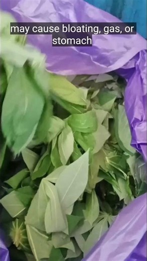 What Happens If You Eat Too Much Cassava Leaves? | Side Effects You Need To Know