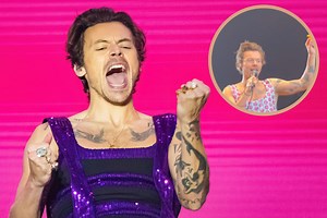 Harry Styles Pauses Concert After Fan Throws Cold Chicken Nuggets on Stage