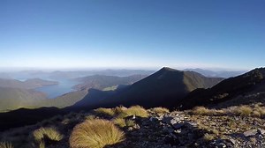 9.2K views · 266 reactions | WATCH: Twenty years ago, endangered...