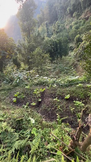 23K views · 101 reactions | ️ URGENT SALE General Land at Namin,...