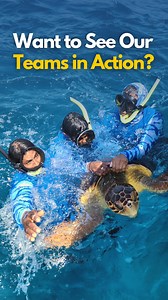 Ever dreamed of becoming a marine biologist? 🦈 Almost everyone, as a kid, imagined exploring the wonders of the ocean and discovering fascinating sea creatures. This season, we’re taking you behind the scenes with four of our remarkable team members working across Mexico, Belize, Honduras, and Panama. From vibrant coral reefs to deep-sea ecosystems, you’ll get a firsthand look at marine conservation in action: satellite-tagging marine wildlife, deploying underwater cameras, embarking on long bo