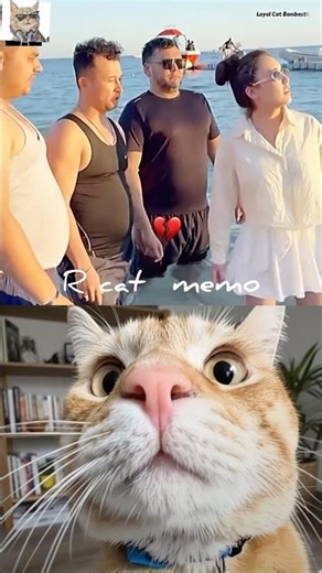 #trending #youtubeshorts #funny