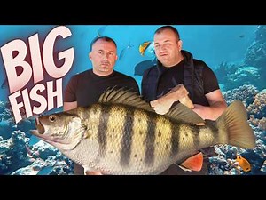 We caught a HUGE FISH! 🎣🐟 The best recipe for cooking fish over a campfire and in a cauldron
