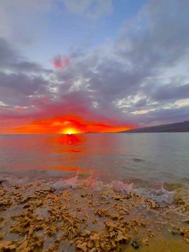 Ruby Rays 🌅🌊🌴✨#sunset #sunrise #beach #waves #hawaii #paradise #travel