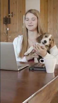 Your Beagle Is Barking Because Of This!