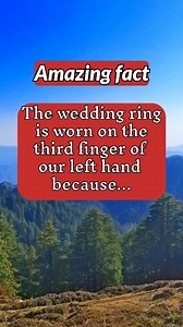 Why the wedding ring is worn on the third finger... #psychologyfacts #relationships #love #crush #facts #factsdaily #men #women #girls #girlfriend #boyfriend #viral #viralreels #trending #relationshipgoals #romance #kinship #marriage #breakup #reels #meta #friendship #affection #couple #eros #followers #reelsfypシ #psychology | Romance radiance love psychology