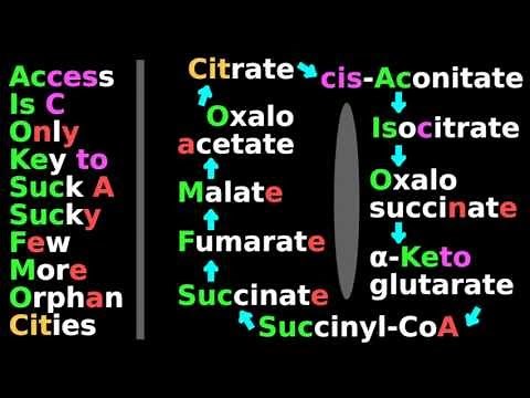 Citric Acid Cycle Mnemonic (B: 2/5): Biochem Tutorial: Krebs cycle, substrates, citrate, isocitrate
