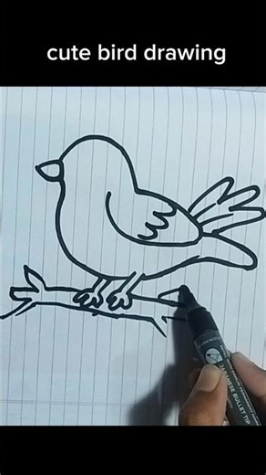 🕊️ Beautiful Bird Drawing | Easy and Simple Bird Sketch | #shorts
