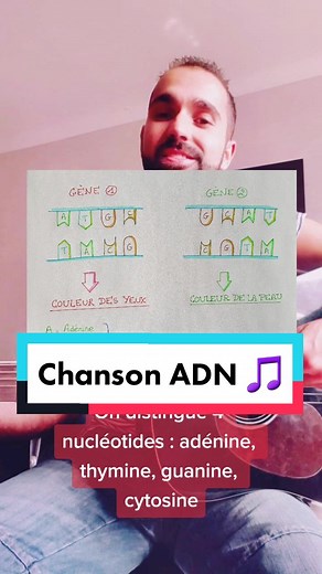 Comprendre l'ADN à travers une chanson | Exercices corrigés de SVT
