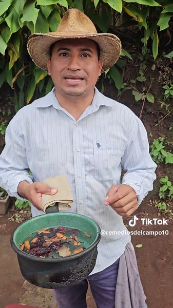 Remedios del campo para la salud y el bienestar