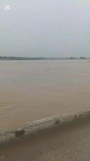 42 reactions · 5 comments | Epesode 14 shiiessssssss #homemade #bananachips #entrepreneur #original #viral #fypviralシ | Rustom Abedes Abad | Facebook