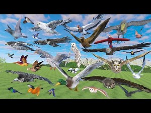Bird Flying Speed Comparison - 3D Animal Animation Comparison