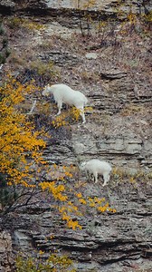 115 reactions · 18 shares | There’s an abundance of fall activities throughout the state of South Dakota to enjoy with your family this season! ✨#hifromsd #SouthDakota | Travel South Dakota | Facebook