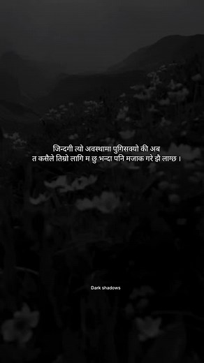 #_darkshadows #fypシ゚viral #fyp #viral #foryourpage