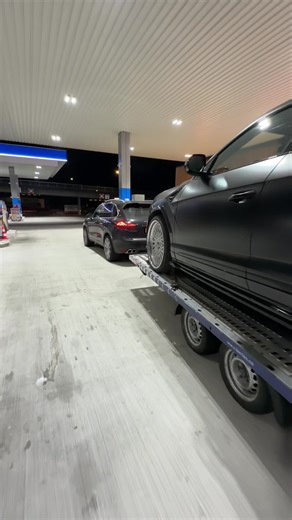 Auto Transport: Ribo Services Explained