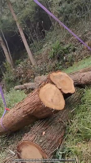 An efficient process of transporting tree logs using a drone_036 | Aircraft Paris