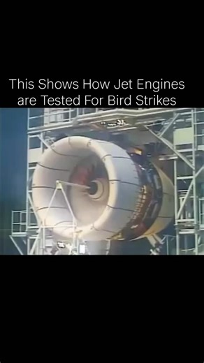 explain on Instagram: "This Shows How Jet Engines are Tested For Bird Strikes. Jet engines undergo rigorous testing for bird strike resistance to ensure aviation safety. Here's a breakdown of the testing process¹: Testing Protocols: Engines are subjected to varying numbers of ingestion tests based on bird size. For small birds (0.85 kg), engines undergo up to 16 ingestion tests and must sustain declining thrust for at least 20 minutes post-impact. Medium-sized birds (1.15 kg) require up to 7 ing