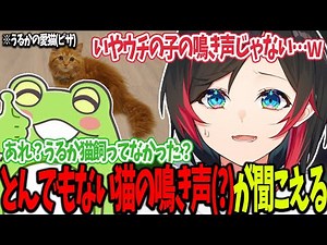 【LoL】ピザの鳴き声！？とんでもない猫の鳴き声(？)が聞こえるフルパLoL【うるか切り抜き/うるか/RainBrain/Zerost/たぬき忍者/Eugeo】