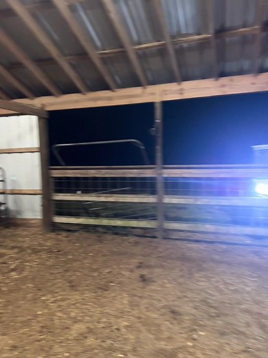 1.6K views · 18 reactions | Show cows got a new set up going on! New stalls and getting a new wash rack set up! | Ashbaugh & Weiser Cattle | Facebook