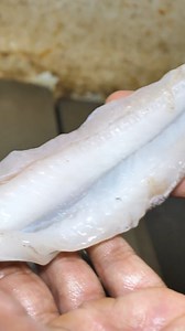 63K views · 458 reactions | The boneless fish | Bombay Duck rava fry...