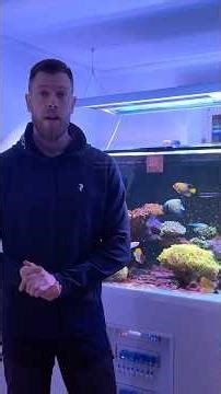 Reef tank review - 2025 #saltwateraquarium #aquarium #fishtank #reeftank