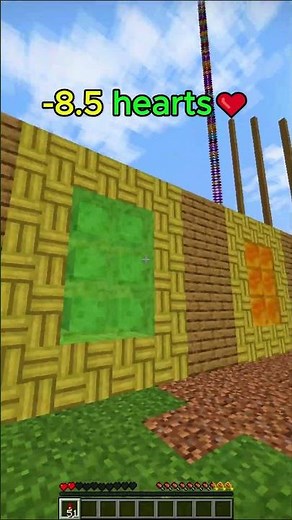 Which Block Hurts Elytra The Most? 💀 #shorts #minecraft