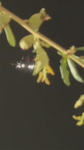 This Ride Pushed My Body to the Limit #thrill #pov