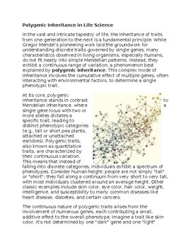 Polygenic Inheritance Worksheet for Sub-Plan or Classwork & Homework