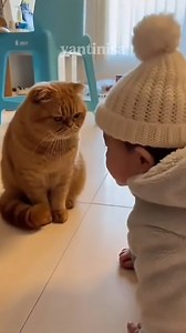 5.8K reactions · 71 shares | reaksi anak kecil liat si oyen  • • #funny #catlovers #catlife #funnycats #christmas #petlovers #pets | Yanti Nisa | Facebook
