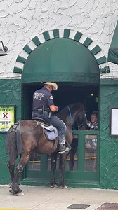 9.3K views · 2.3K reactions | In Key West everyone loves some Irish Kevin‘s  - #keywestvibes #irishkevins | Backyards of Key West Gallery | Facebook