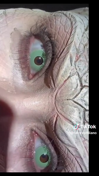 Reptiles entre nosotros: ¿Alien o Realidad?
