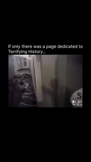 Terrifying History on Instagram: "On January 18, 2016, Daniel Shaver of Granbury, Texas, was fatally shot by Mesa, Arizona police officer Philip Brailsford in the hallway of a La Quinta Inn. Police had been called to the hotel following reports of someone pointing a rifle out of a window. Shaver, who was in town for pest control work, was not armed at the time of the encounter, though a pellet rifle related to his work was later found in his room. Body camera footage showed Shaver sobbing and pl