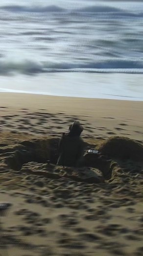 I Built a Sand Castle to Save a Lego WOLF🐺🤝#fyp #safety #chalange