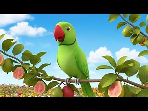 Parrot Beautiful Poem For Kids |nursery Poem | Mithu Mithu | #parrot #poem #kidspoem #cartoon