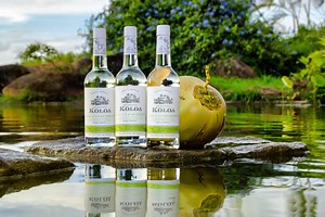 The 9 Best Rums to Drink Right Now